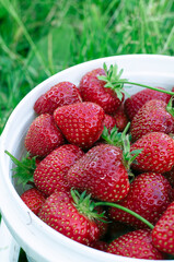 Ripe strawberries. The most delicious berries. Juicy berries. The harvested crop.