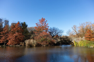 The Pond during Autumn at Central Park in New York City with Colorful Trees and the Old Gapstow Bridge