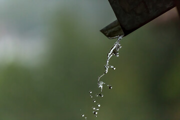 drops of water