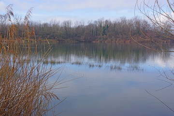 Balade hivernale au milieu des étangs