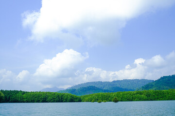 Fototapeta premium beauty natural scene green forest trees on mountain. Island or koh tourism vacation in thailand