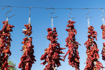 Growing your own bio vegetables in the eastern Bulgaria