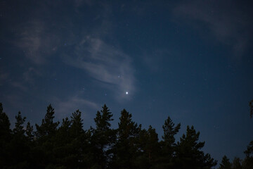 Fototapeta na wymiar stars among the clouds illuminated by the moonlit sky in the night sky in the pine forest