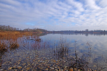 Balade hivernale au milieu des étangs