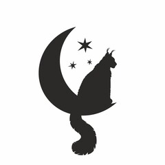 The cat sits on the moon