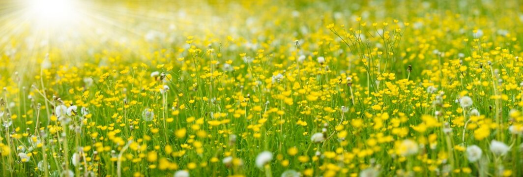 Waldbaden bringt Entspannung f&uuml;r K&ouml;rper, Geist und Seele