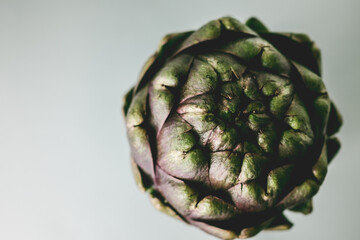 Artichoke flower, purple edible bud isolated