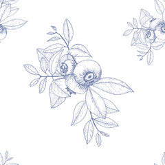 Seamless pattern blueberry sprig sketch on white background