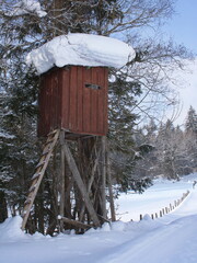 Raised hide in Ramsau am Dachstein,Styria,Austria,Europe
