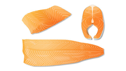 Set of realistic salmon fillet slices vector illustration isolated on white background
