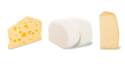 Vector set of pieces of different types of Parmesan, Mozzarella and Swiss cheese close up isolated on white background