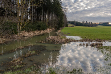Gestauter Bach  durch Biber am Waldrand  mit Wiesen und Wolken am abend