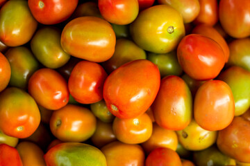 Ripe tomatos fresh and healty food, Green and red tomatoes