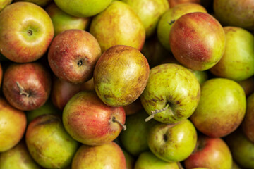 Many color sour kul or plums close-up shot on a village market