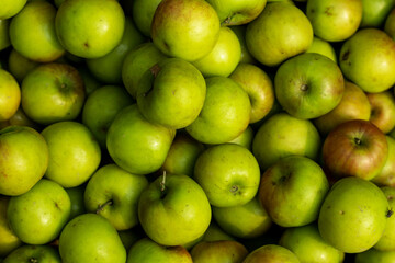 Sour green plums close-up shot on a shop or apple kul