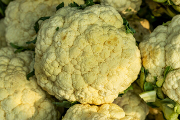 A shot of white cauliflower vegetables and cauliflower head