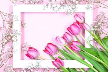 Tulip flowers Arrangement. Flower gypsophila paniculata in white horizontal springtime frame with blank space on pink pastel background. Tulpis for Mothers day, Valentines Day, Birthday Greeting card
