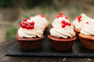 Red currant cupcake summer fresh dessert