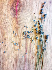 dried lavender flowers on wood background