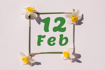 February 12th. Day 12 of month, calendar date. Frame from flowers of a narcissus on a light background, template. Top view. Winter month, day of the year concept