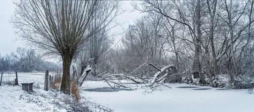 Die Alte Leine im Winter