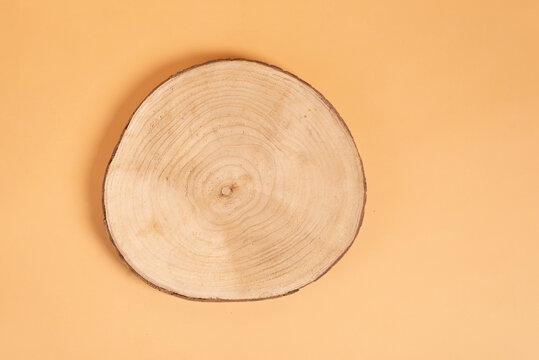 Wood slice. wood stump section on beige background. Natural organic eco-friendly beauty product concept.  Showcase for cosmetic products.  Top view, mockup. Product advertisement. 