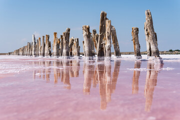 Dead sea salt plains with wooden pillars submerged in salty water colored with pink algae.