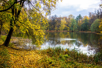Obraz premium Walk in the autumn park.