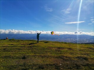 Fototapeta na wymiar kite in the sky