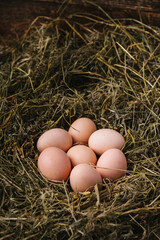 Chicken eggs in nest. Easter, spring or eco food concept.