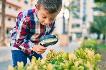 Adorable caucasian explorer boy using magnifying glass at the park.
