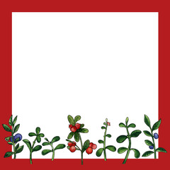 Fototapeta premium Square frame with cowberry and blueberry watercolor painting