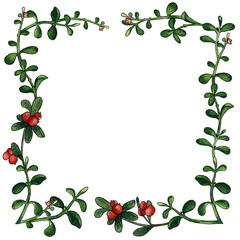 Square frame with cowberry watercolor painting
