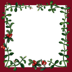 Square frame with cowberry watercolor painting