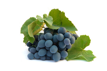 Bunch of dark grapes isolated on the white background.