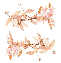 Watercolor hand painted blush floral illustration