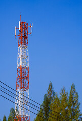 Telecommunication tower antenna with cable lines and pine trees against blue clear sky in vertical frame