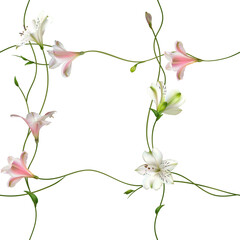 Flowers. Floral background. Lilies. Seamless pattern. White. Pink.
