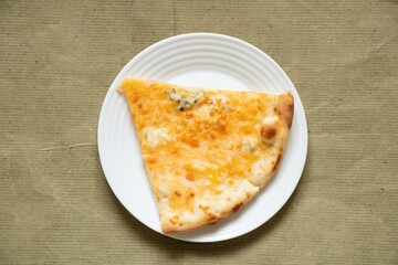 piece of cheese pizza on a plate lies on green paper