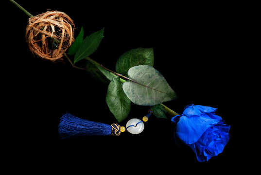 Dark Blue Rose