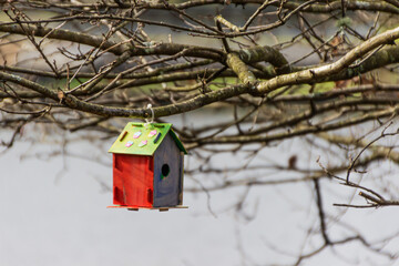 birdhouse on the shore of the lake in Galicia, Spain