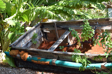 Cuban boat graveyard 3