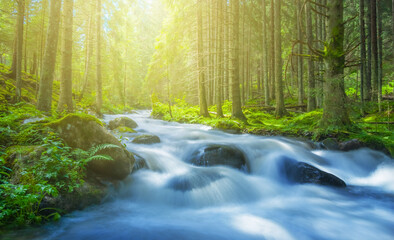 river rushing through mountain forest, sunny natural background