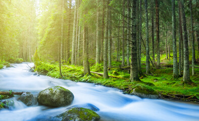 Fototapeta na wymiar river rushing through mountain forest, sunny natural background
