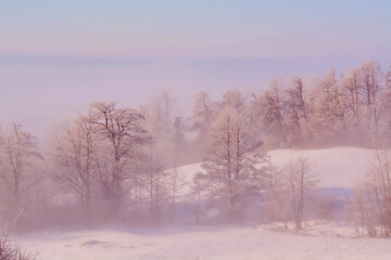 Winter foggy misty snowy landscape