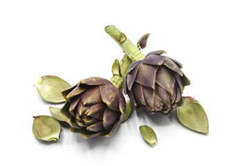 carciofi
