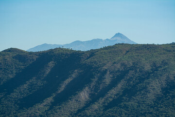 el algodonal