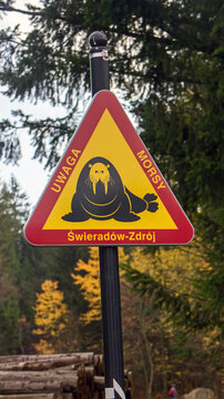 witzige Walross Stra&szlig;enschild.funny walrus road sign