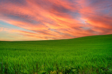  nice sunset on a green field