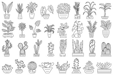 Home plants in flower pots. Vector set in outline style isolated on white. Cacti, succulents, various plants for interior decoration.